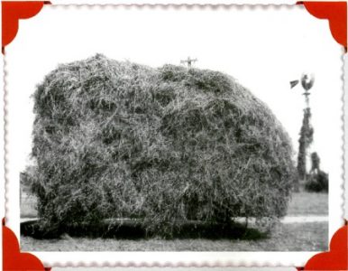 Makin' Hay Image